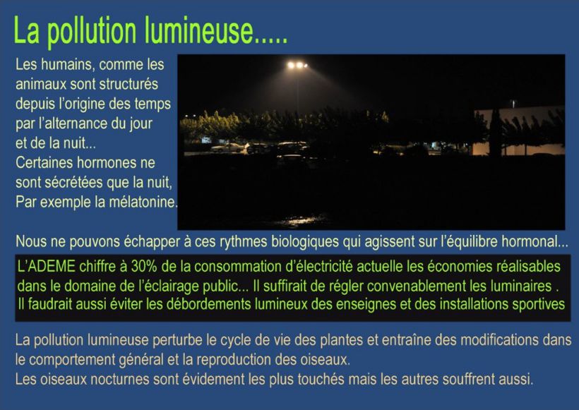 Reour Actions